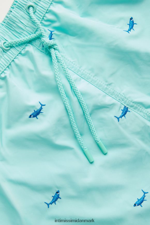Intimissimi haj-broderede badeshorts Mænd 256j-haj broderi aqua grøn beklædning 8DZ4XJ411